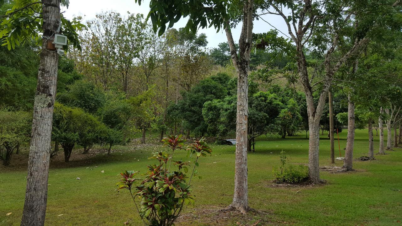 Mahogany Villas 蓬塔戈尔达 外观 照片